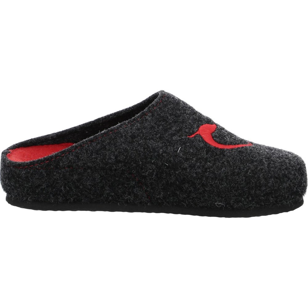 ARA Cosy anthracite Tøfler Dame Grå | CK6725940