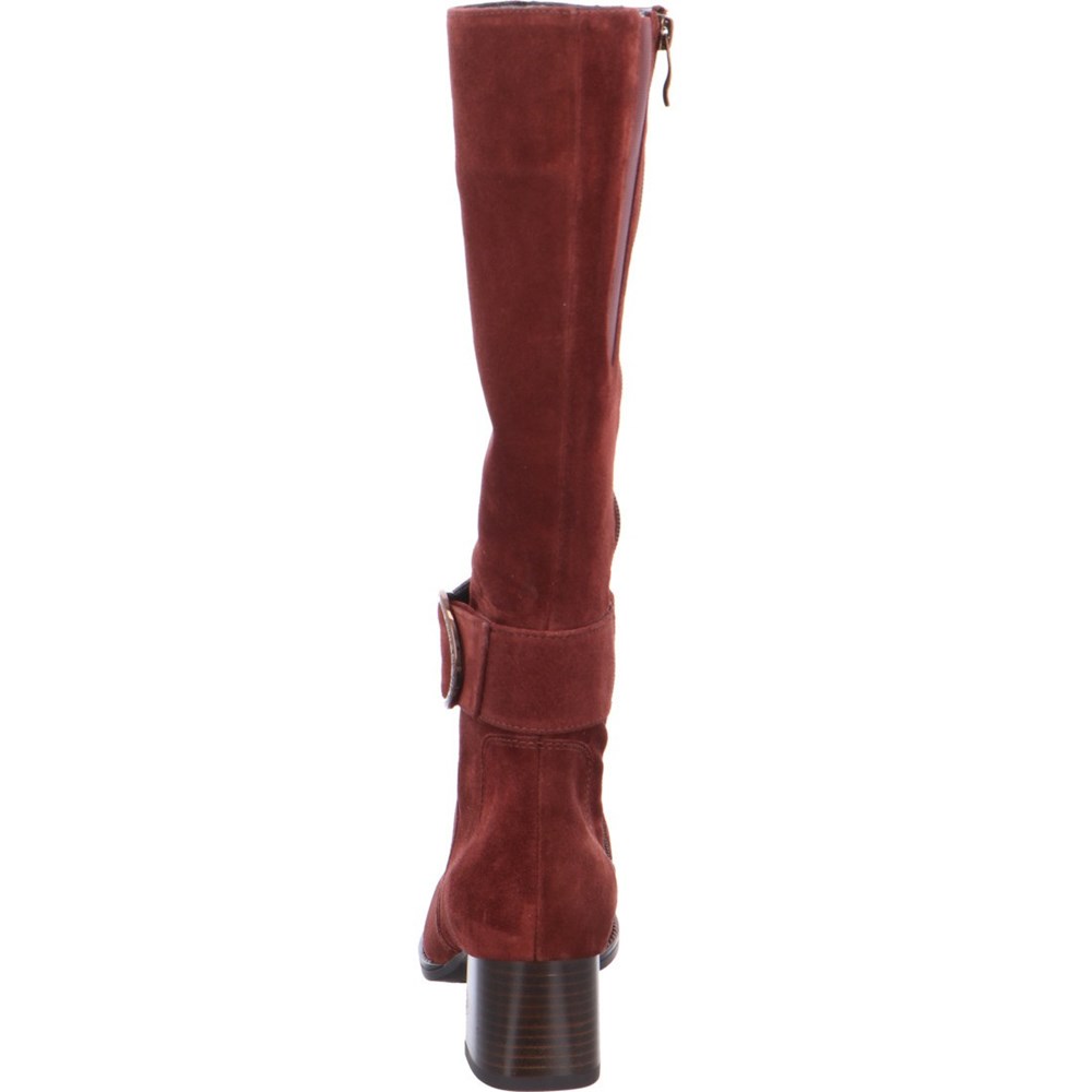 ARA long boots Versailles Støvler Dame Brune | TP2198456